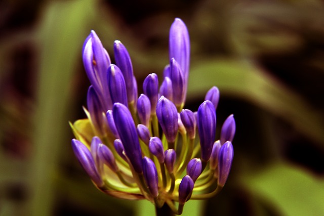 具备丰富的 具备丰富的