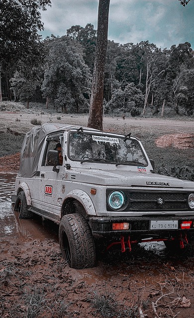 无论球员是 无论球员是