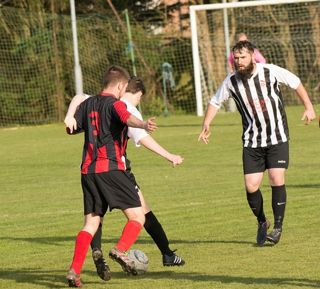 之间做出权 之间做出权