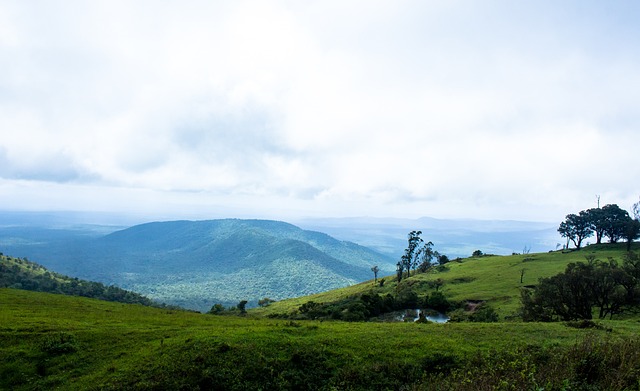地调整战术 地调整战术