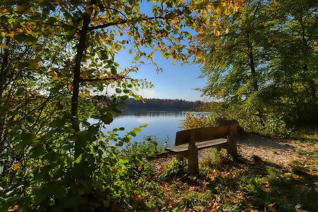 除此之外 除此之外