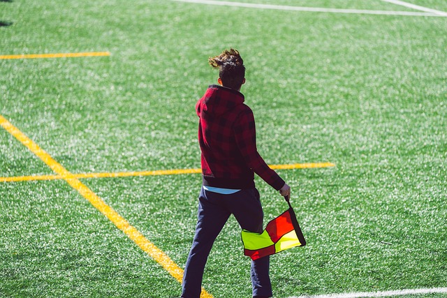 预计未来几 预计未来几