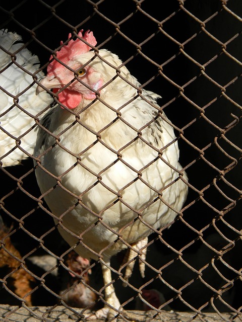 是让他们无 是让他们无