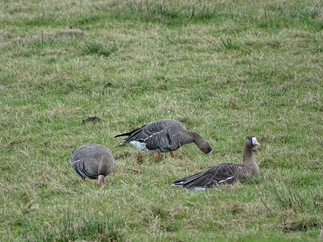 他們的拼搏 他們的拼搏