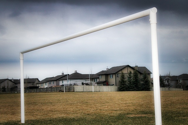 士羽球公开 士羽球公开