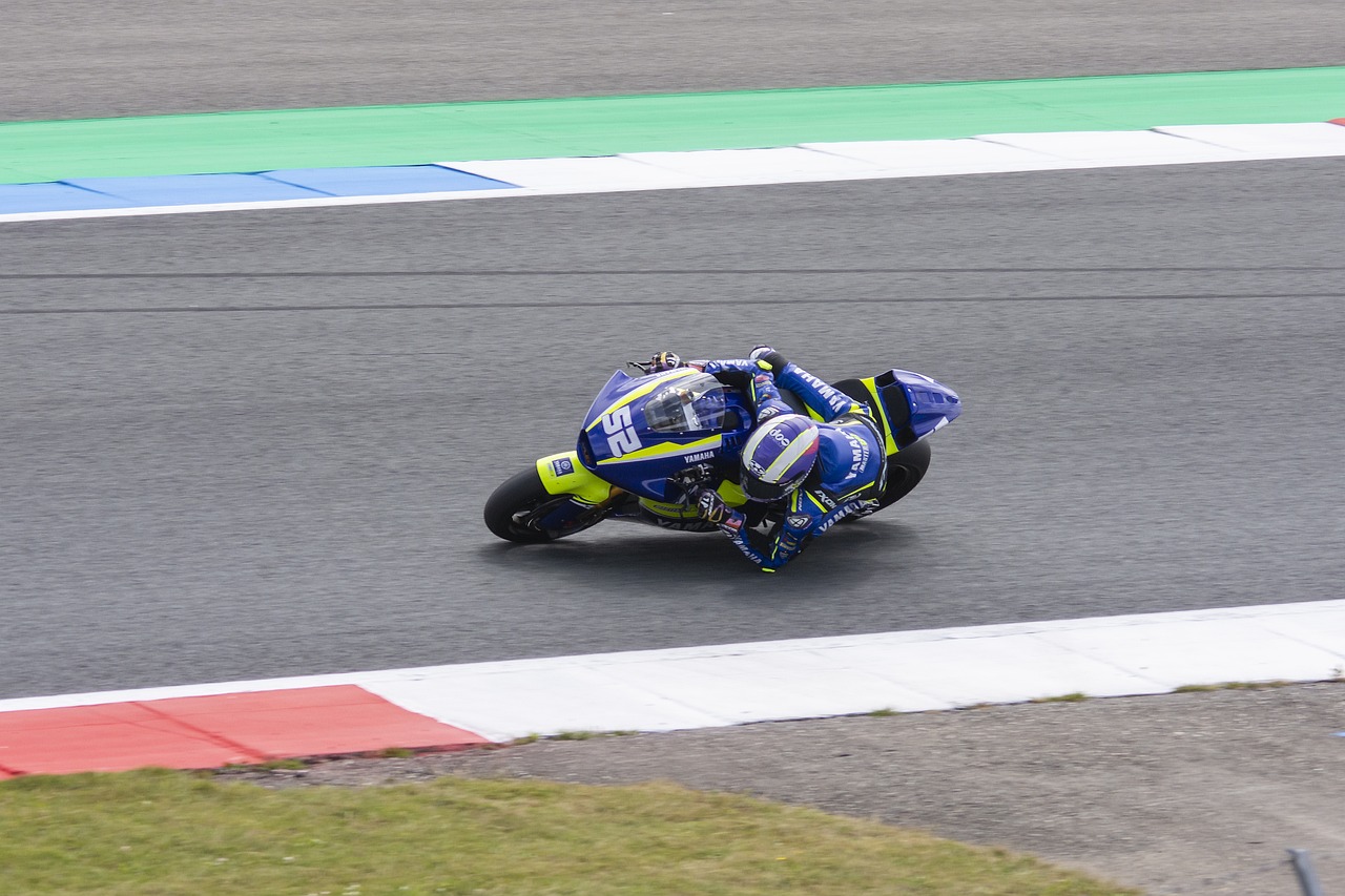 翁泓阳的夺 翁泓阳的夺