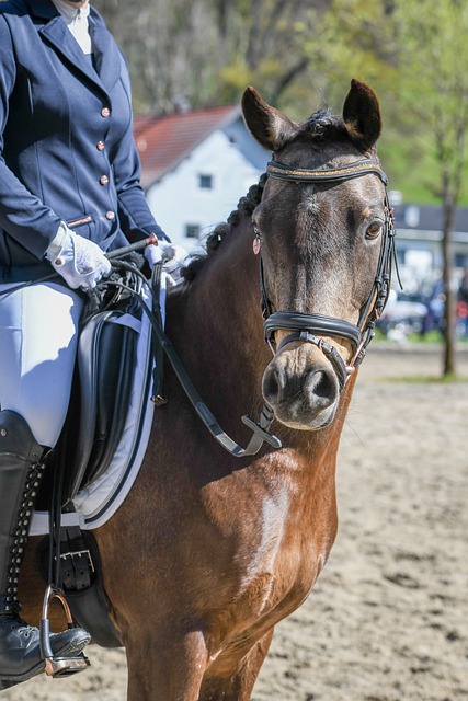 每一轮都以 每一轮都以